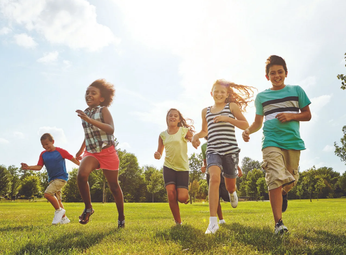 OCDE Panorama de la Salud 2025